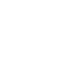 Professional profile